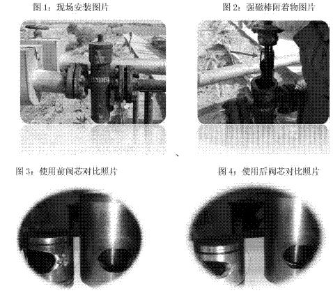 高壓強(qiáng)磁籃式過濾器